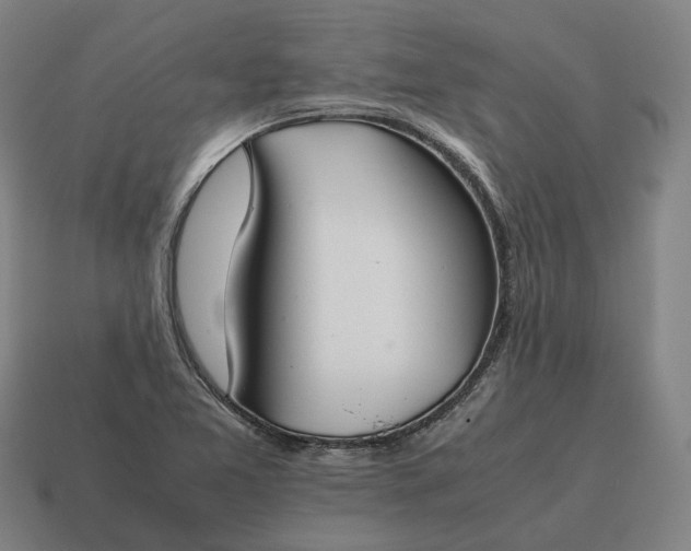 X0000115121365200911101618