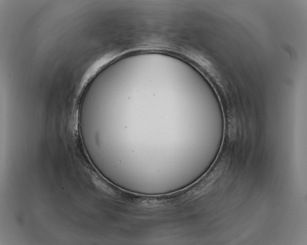 X0000115121366200911101618