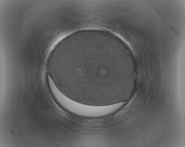 X0000115121367200911101618