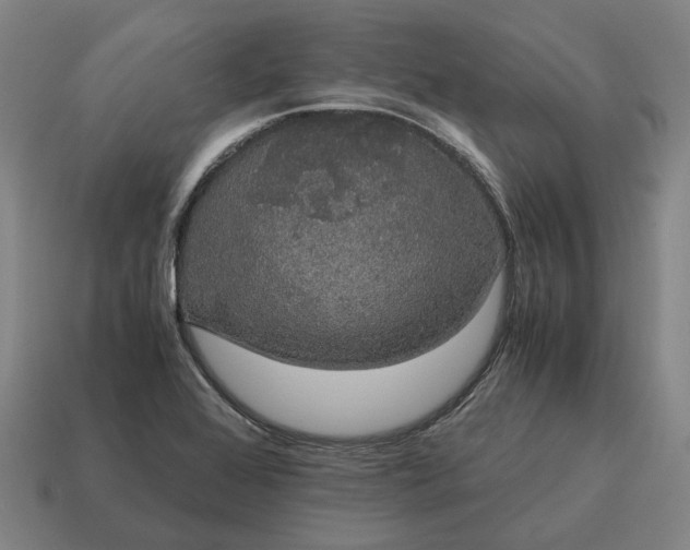 X0000115121368200911101618