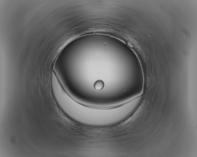 X0000115121369200911101618