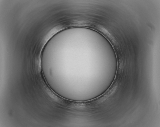 X0000115121370200911101618