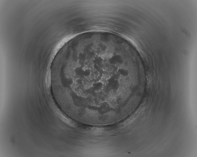 X0000115121371200911101618