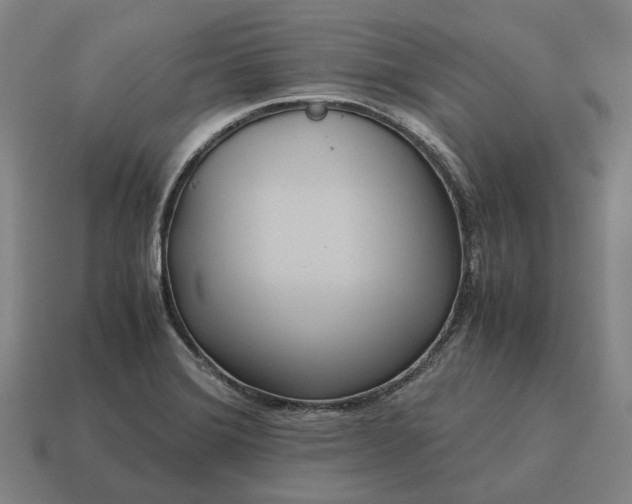 X0000115121372200911101618