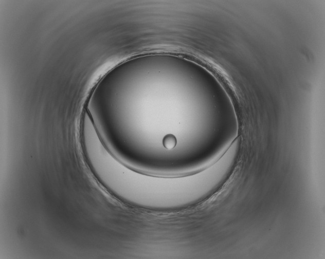 X0000115121373200911101618