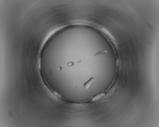 X0000115121376200911101617