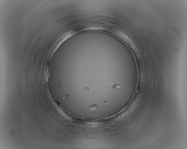 X0000115121377200911101617