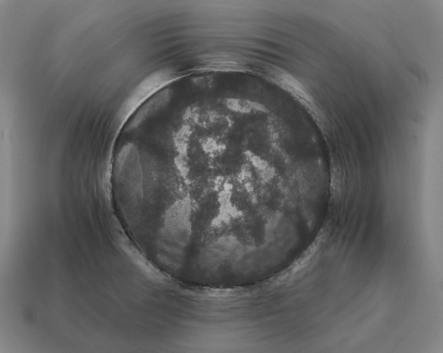 X0000115121378200911101617
