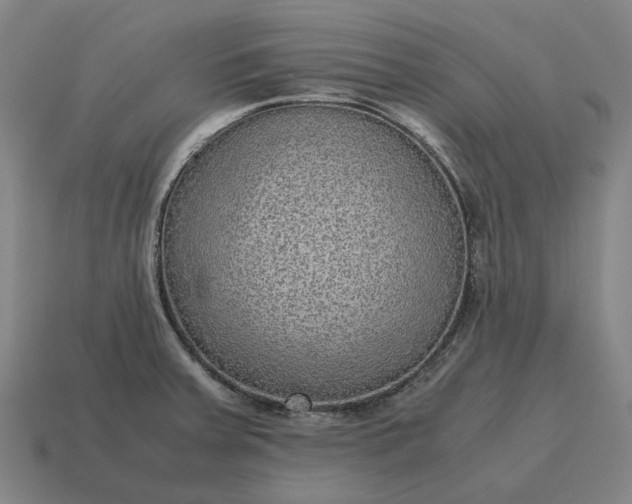 X0000115121379200911101617
