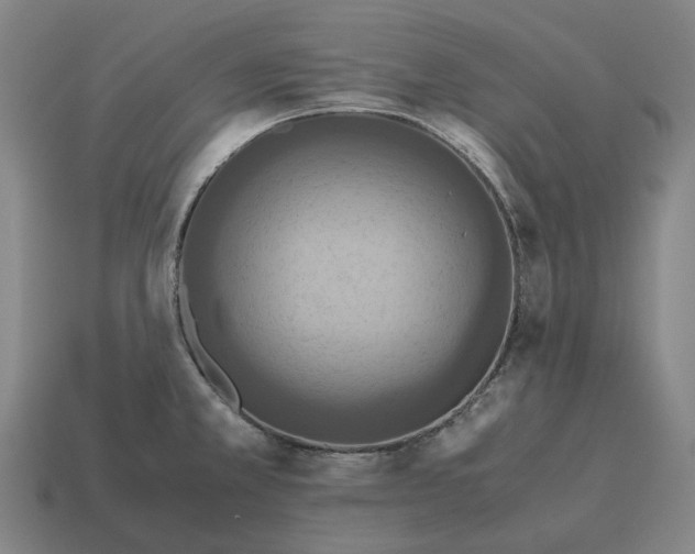 X0000115121381200911101617
