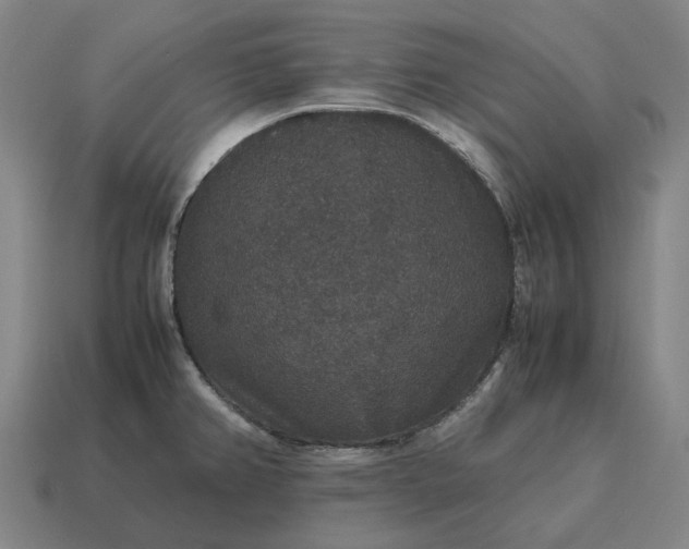 X0000115121382200911101617