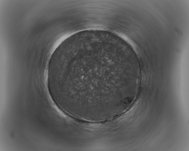X0000115121383200911101617