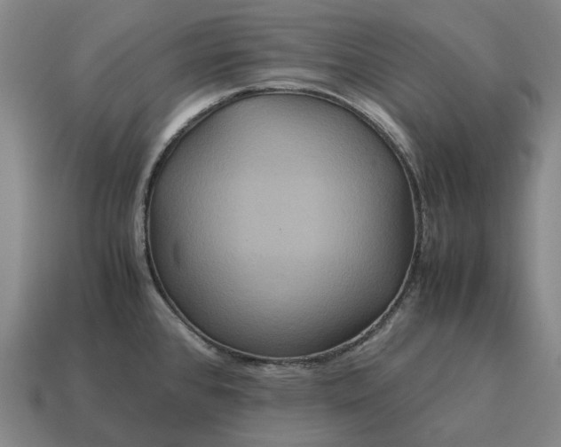 X0000115121384200911101617