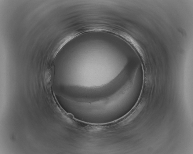 X0000115121385200911101617