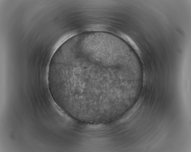 X0000115121386200911101617