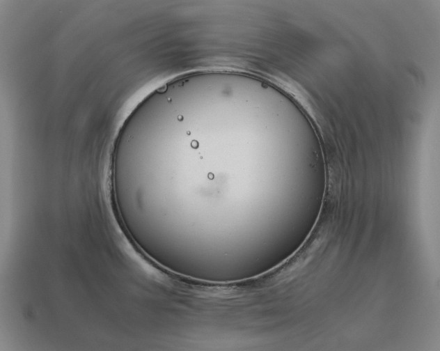 X0000115121387200911101617