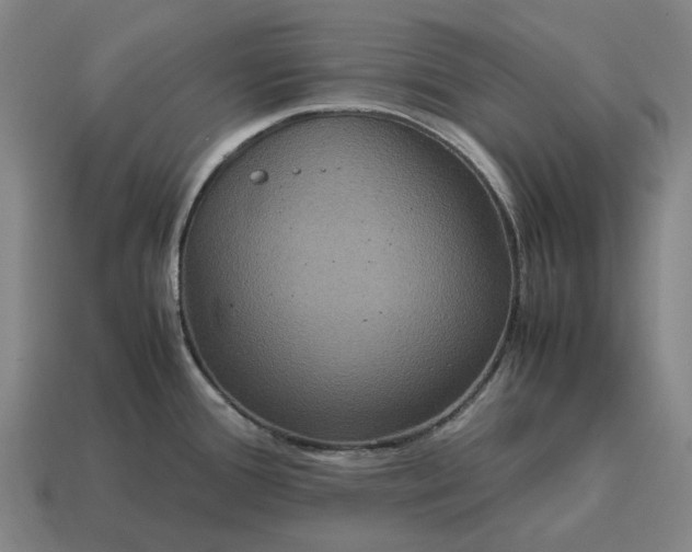 X0000115121388200911101617