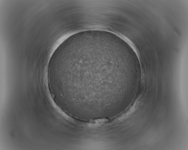 X0000115121389200911101617