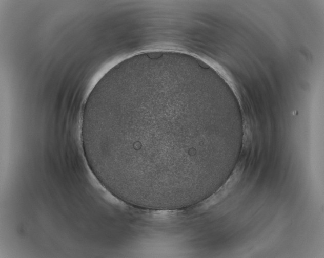 X0000115121390200911101617