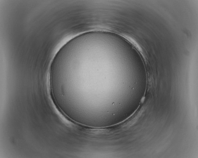 X0000115121391200911101617