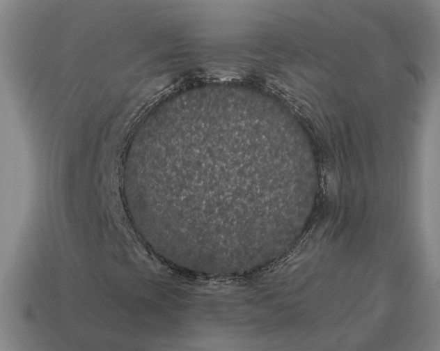 X0000115121393200911101617