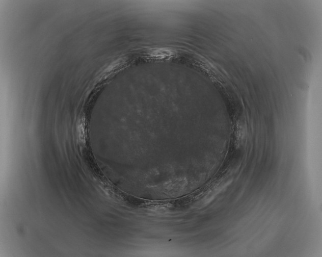 X0000115121394200911101617