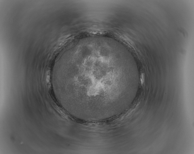 X0000115121396200911101617