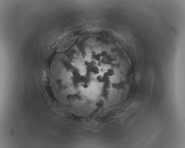 X0000115121397200911101617