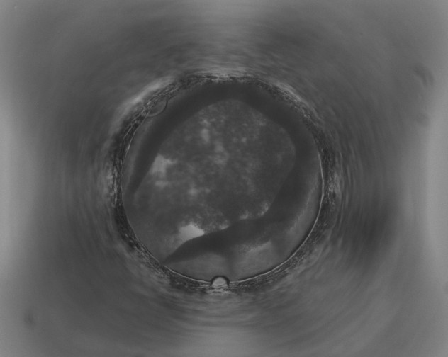 X0000115121398200911101617