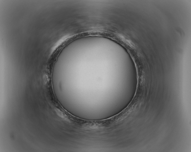 X0000115121400200911101617