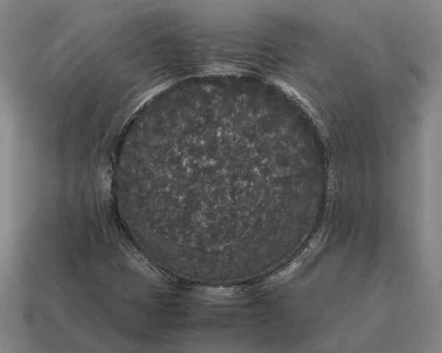 X0000115121401200911101617