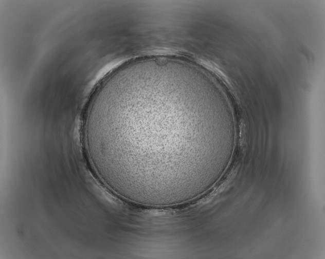 X0000115121404200911101617