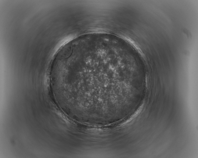 X0000115121405200911101617