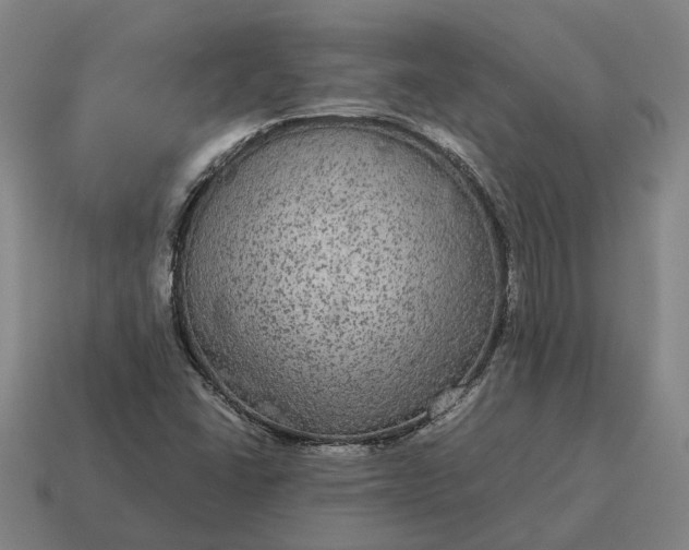 X0000115121406200911101617