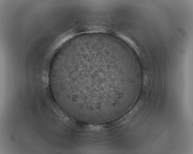 X0000115121407200911101617