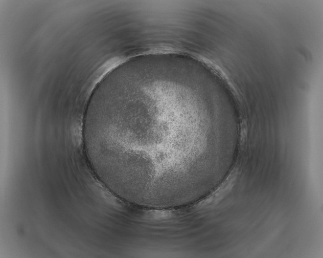 X0000115121409200911101617