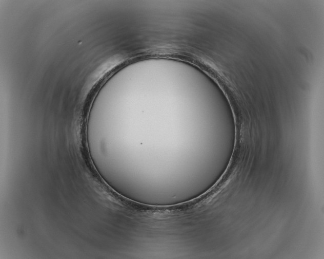 X0000115121410200911101617