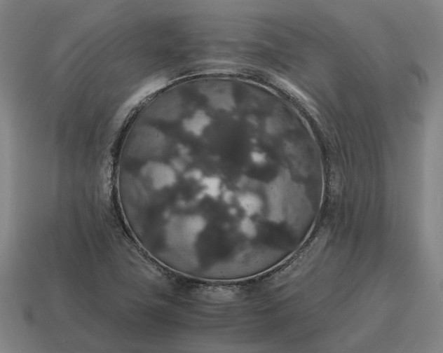 X0000115121411200911101617