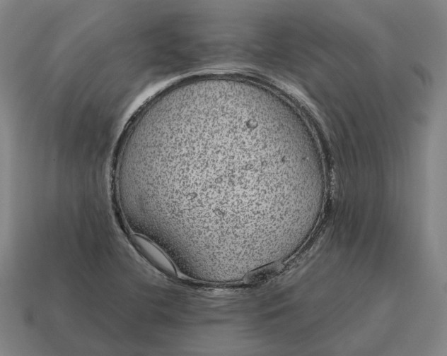 X0000115121412200911101617