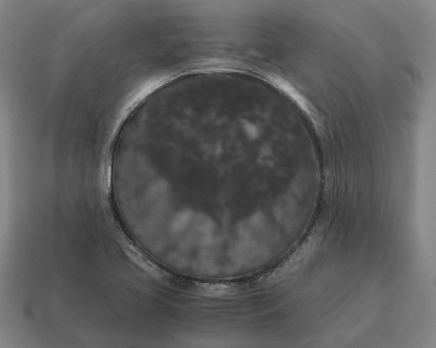 X0000115121413200911101617