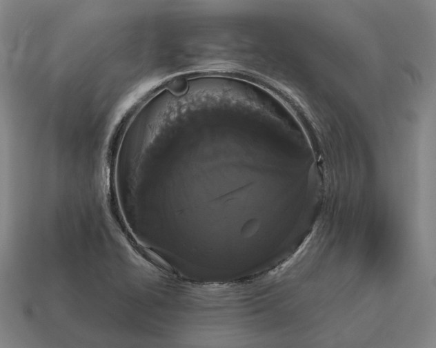 X0000115121414200911101617