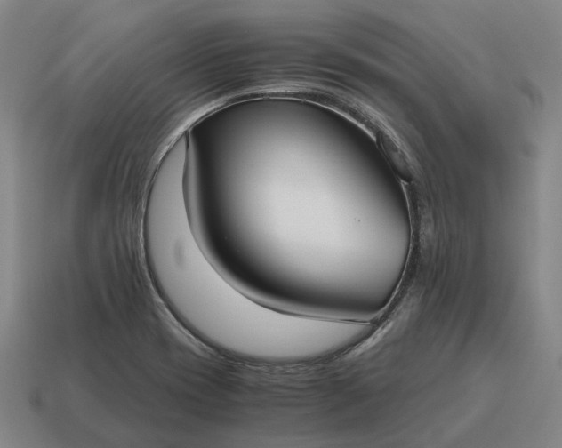 X0000115121417200911101617
