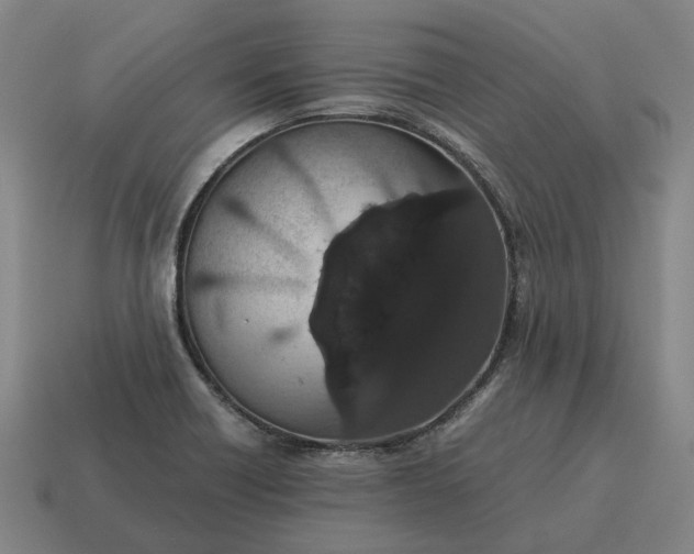 X0000115121418200911101617