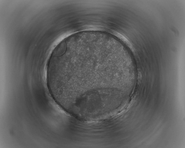 X0000115121419200911101617