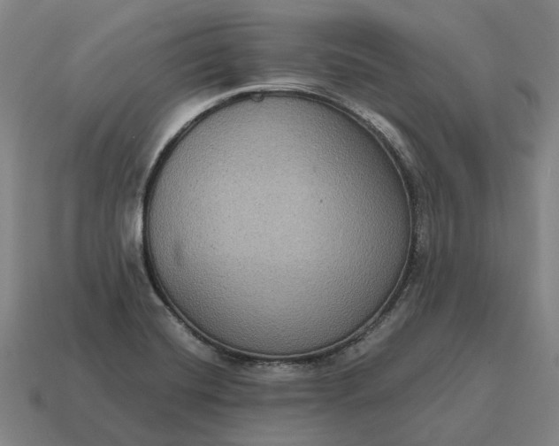 X0000115121420200911101617