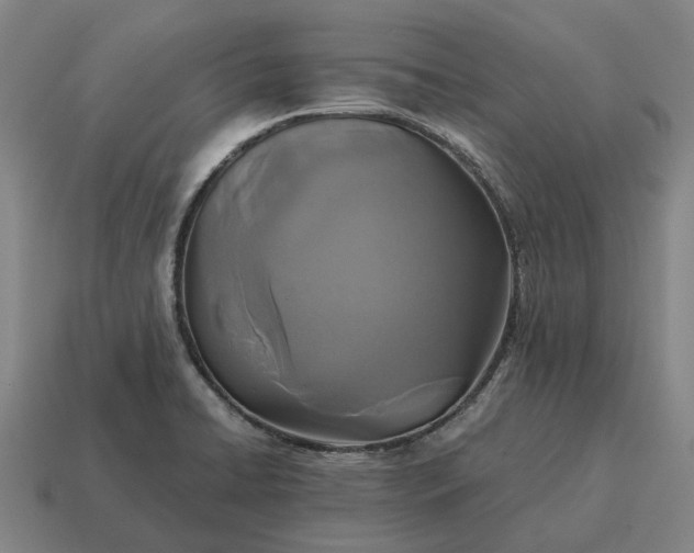 X0000115121422200911101617