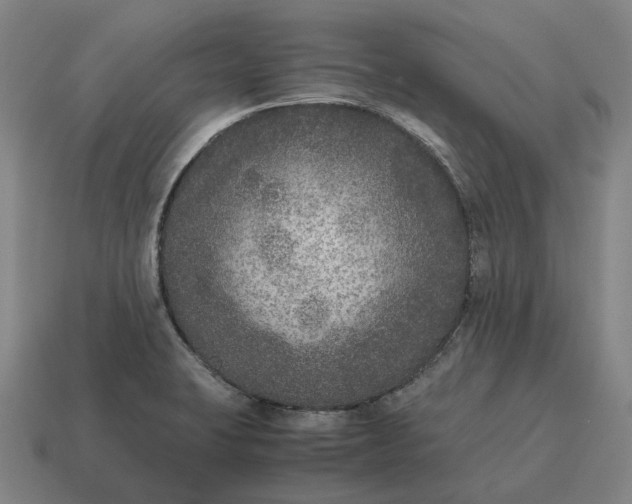 X0000115121423200911101617