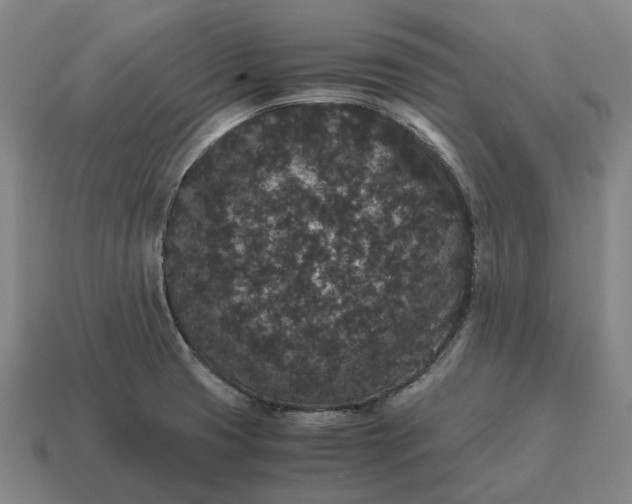 X0000115121425200911101617