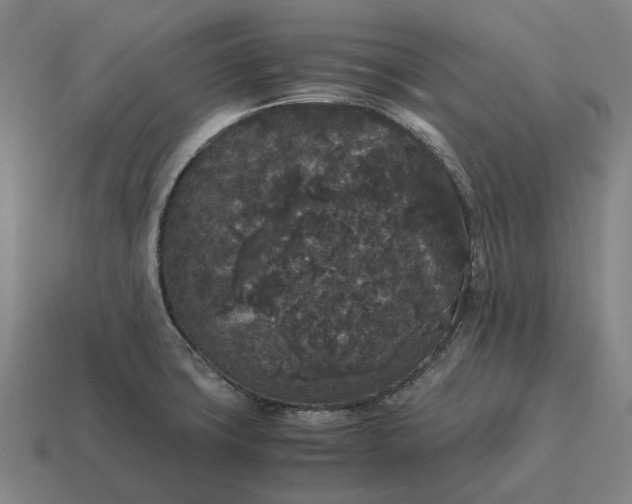 X0000115121427200911101617