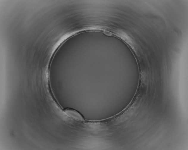 X0000115121428200911101617